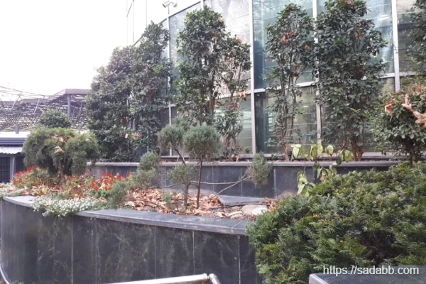 انواع فلاورباکس